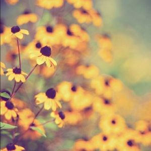 Meet your Posher, Merelyn